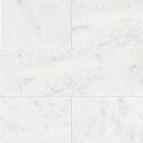 Msi Sierra White 16''x24'' Sandblasted Marble Paver Tile ZOR-LSC-0189 - main
